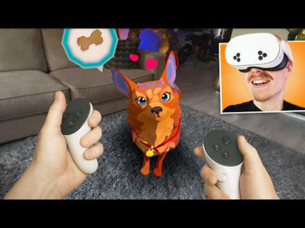 This VR Pet Simulator on Meta Quest 3 Is So Cute! - Stay: Forever Home