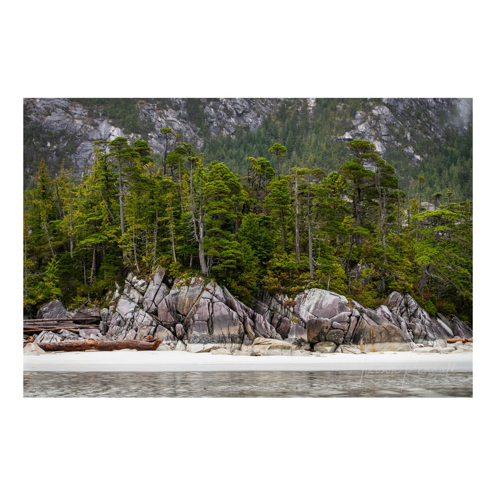 Photograph of a white sand beach at low tide. Large smooth rocks and eroded boulders line the edge of the beach where a dense forest of twisted pine trees grow. In the background a large rocky mountain rises into the misty sky.
