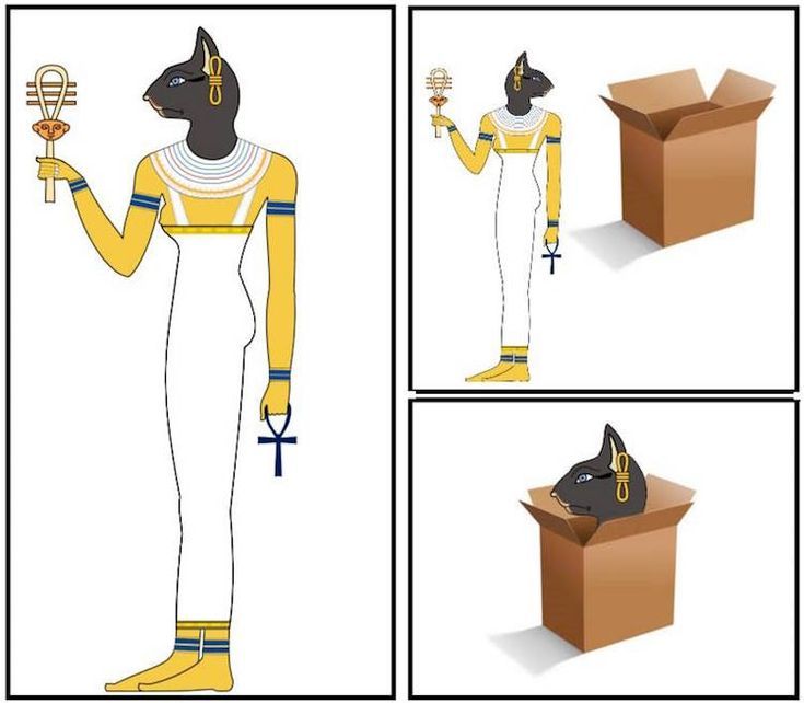 Comment image
