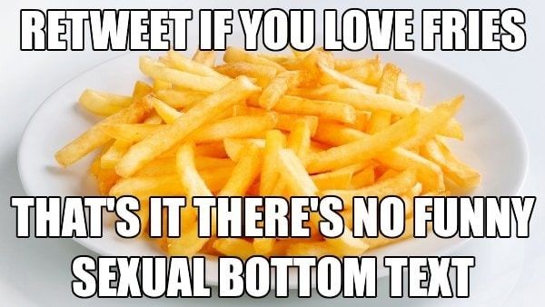 a photo of french fries with the text "retweet if you love fries, that's it there's no funny sexual bottom text"