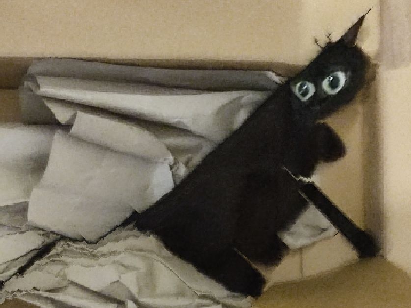 Black cat, content aware scaled