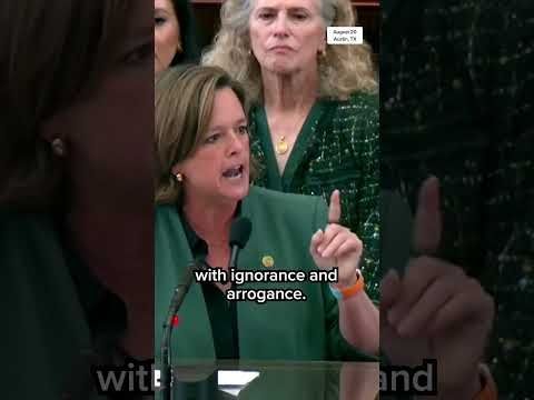 'This is about racism': Texas Rep. Ann Johnson's blunt message to GOP over redistricting