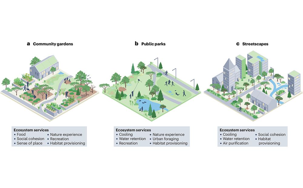 This is figure 4, which shows the multifunctionality of urban green spaces, such as community gardens, public parks and streetscapes. 