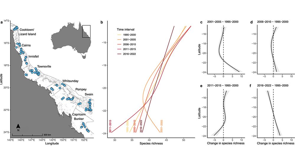 This is figure 1, which shows reef fish species richness (α diversity) across time and latitude. 