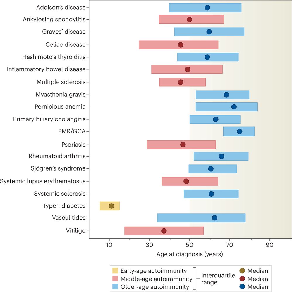Age as a risk factor of autoimmunity.