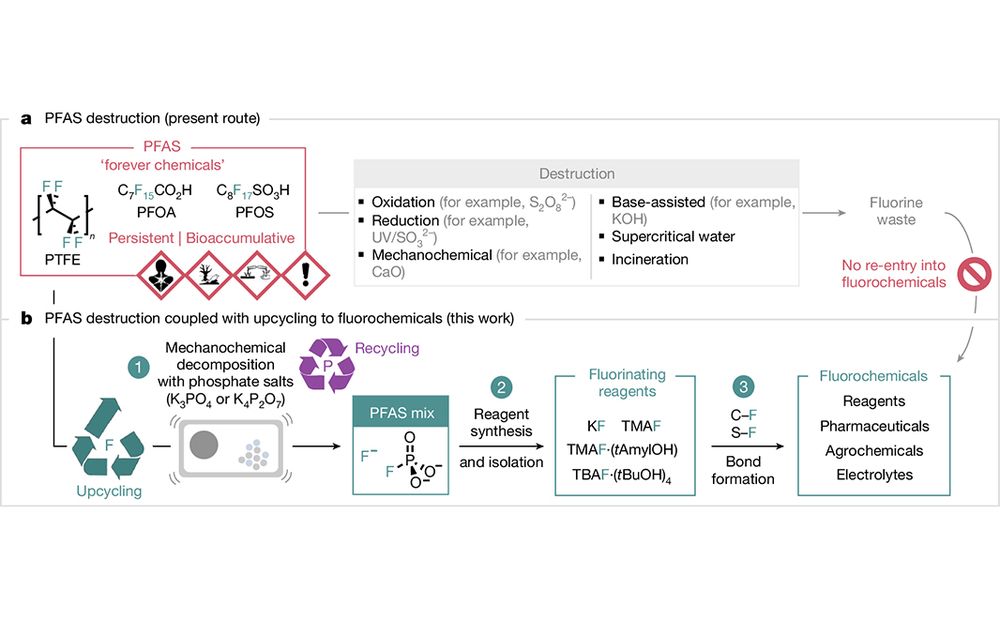 This is figure 1, which shows the synthesis of fluorochemicals from PFASs. 