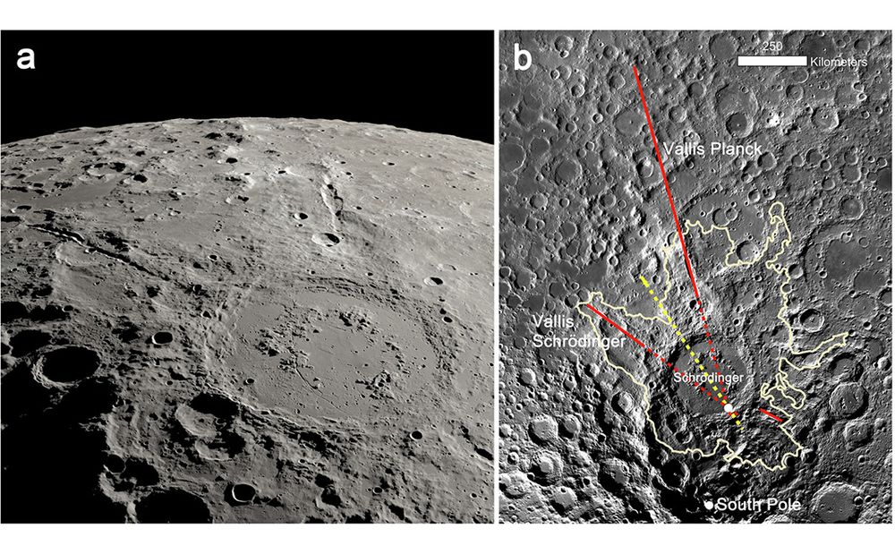 This is figure 1, which shows Schrödinger impact basin. 