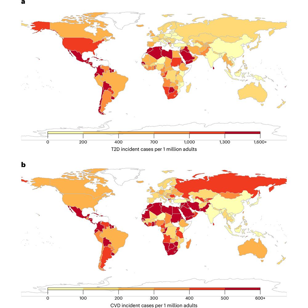 This is figure 1, which shows the incidence of T2D and CVD per 1 million adults attributable to sugar sweetened beverages intake among adults (20+ years) in 184 countries in 2020. 
