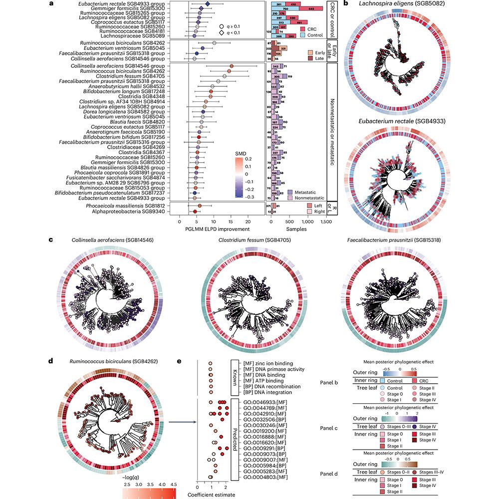 This is figure 6, which shows within-species subclades associations with CRC, tumor staging and primary location. 