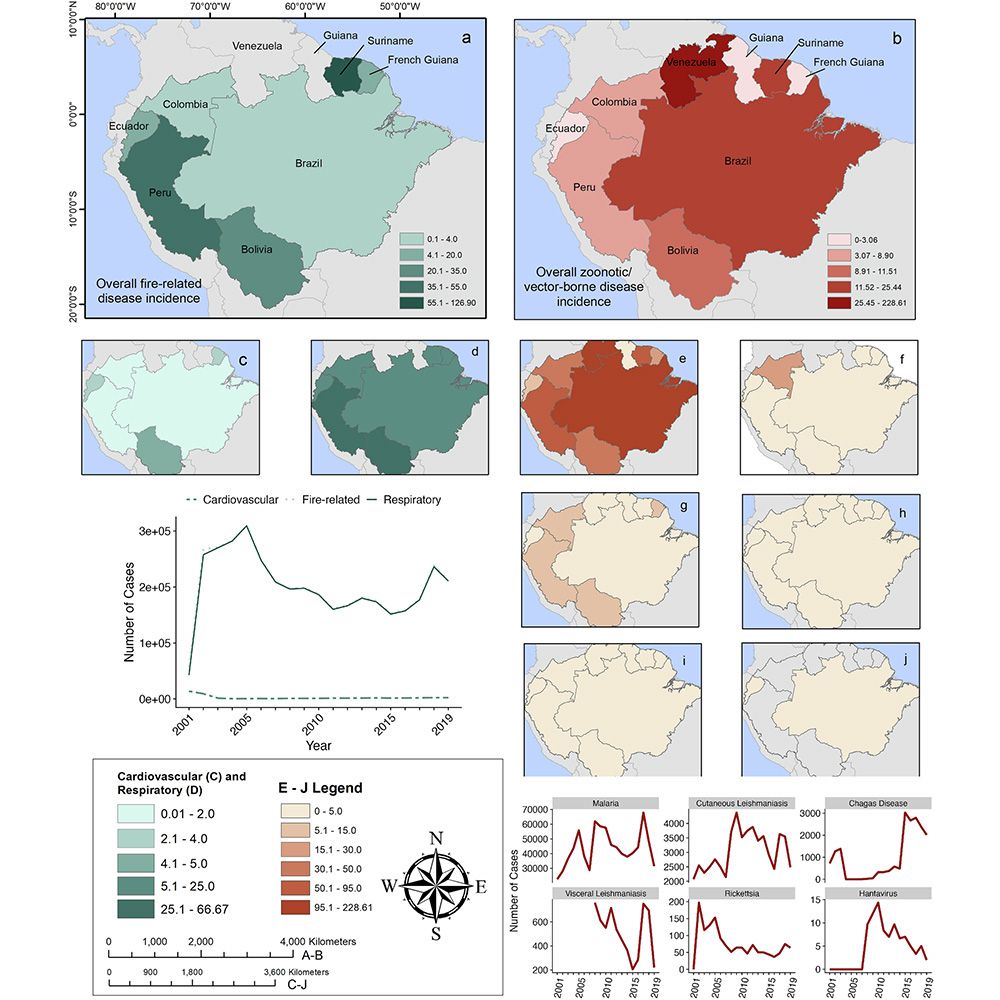 This is figure 2, which shows trends in incidence of fire-related and zoonotic/vector-borne diseases across the Amazon. 