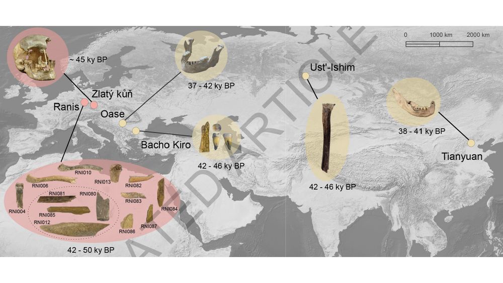 This is figure 1, which shows the geographical distribution of modern human specimens older than 40 ky that produced genome wide data 