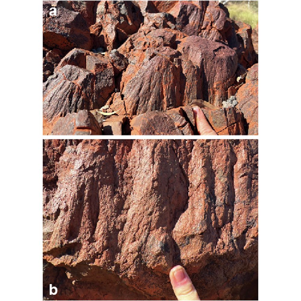 This is figure 2, which shows field photographs of rocks on the flanks of the North Pole Dome. 