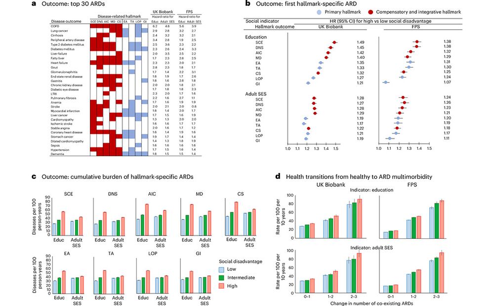 This is figure 2, which shows social disadvantage and risk of diseases associated with hallmarks of aging. 