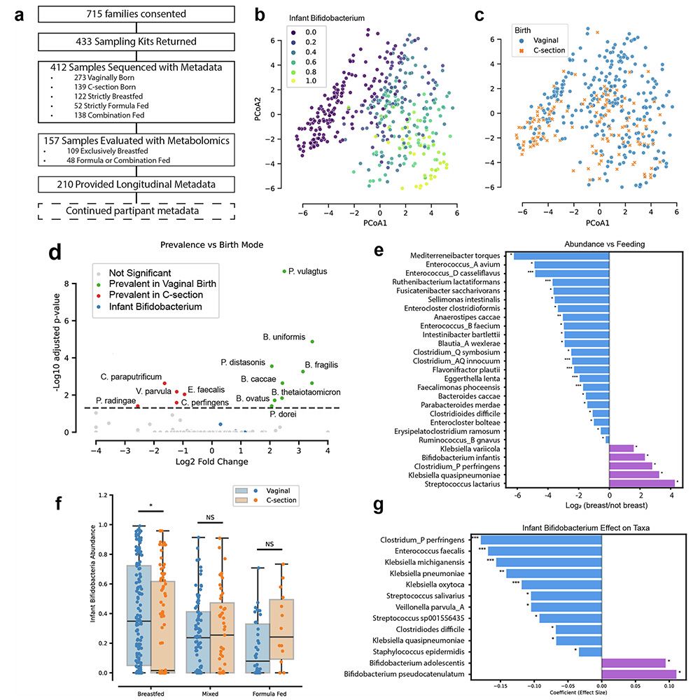This is figure 1 showing general features of infant gut microbiomes.