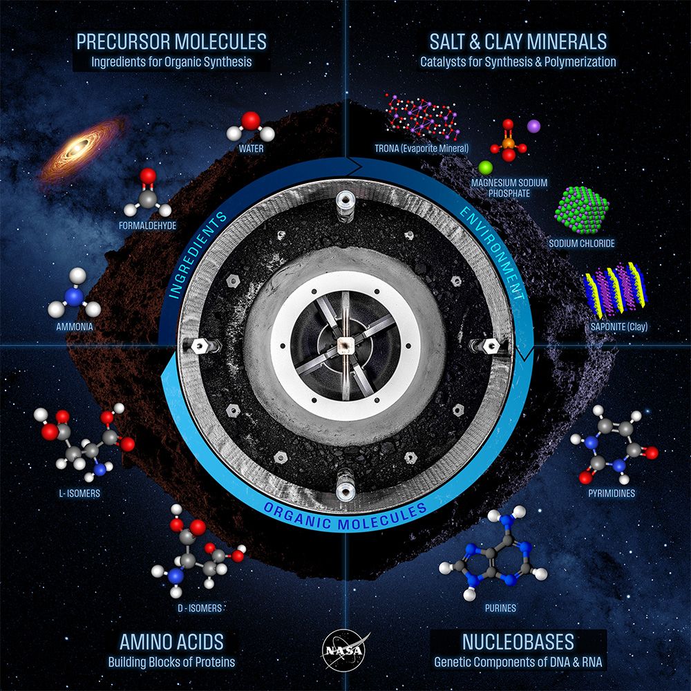 This figure illustrates molecules and minerals discovered in samples of near-Earth asteroid Bennu, which were delivered to Earth by NASA’s OSIRIS-REx mission in September 2023. The upper left panel depicts precursor molecules like ammonia and formaldehyde, while the upper right depicts salts and clays. These early ingredients mixed with water inside the parent body to undergo chemical reactions and synthesize organic molecules, shown at bottom. The lower right panel depicts nucleobases, the genetic components of DNA and RNA, while the lower left depicts amino acids, the building blocks of proteins. The Bennu samples contain all five of the nucleobases that are found in DNA and RNA, and 14 of the 20 amino acids that life uses to build proteins. Credit: NASA 