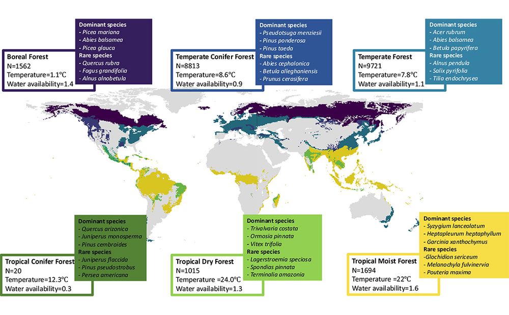 This is figure 1, which shows the six forest biomes, with the number of plots, mean annual temperature and mean water availability index displayed. 