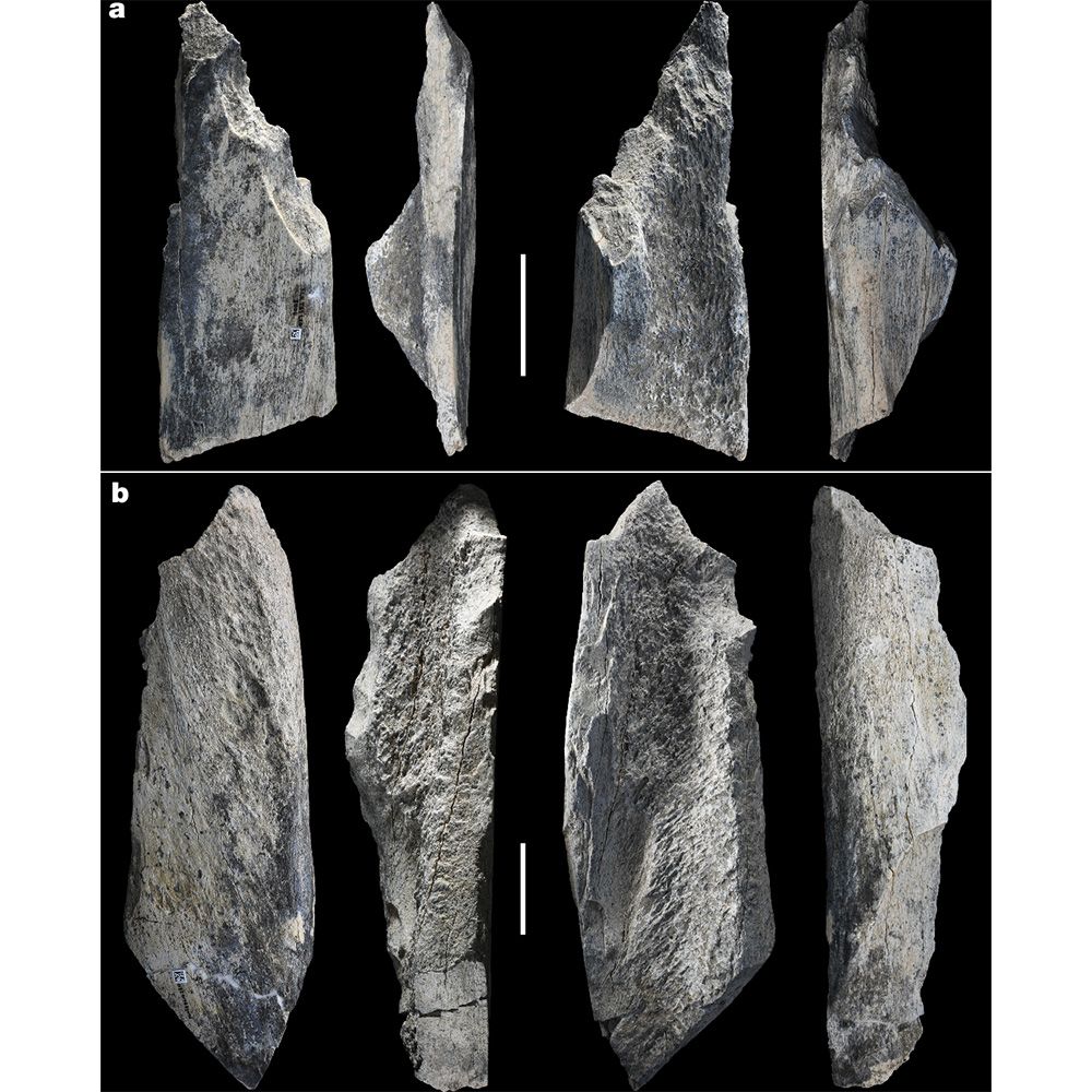 This is figure 1, which shows tools made on long bone diaphysis of very large mammals. 