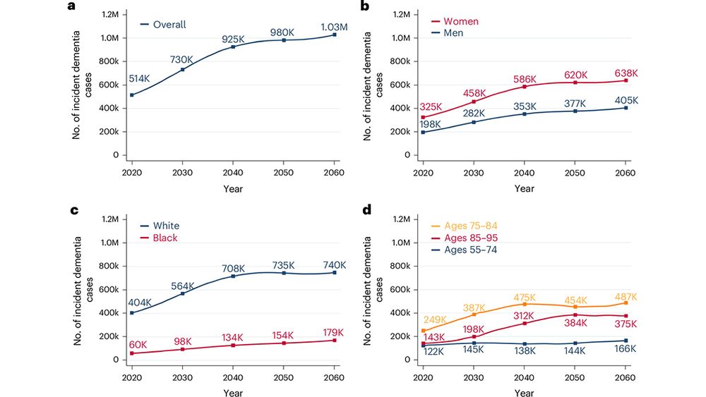 This is figure 2, which shows the projected number of incident dementia cases in US adults, 2020–2060, overall and by age, sex and race. 
 