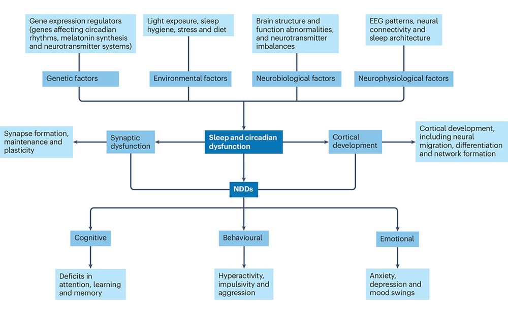 This is figure 1, which shows the relationship between sleep and circadian dysfunction in neurodevelopmental disorders. 
