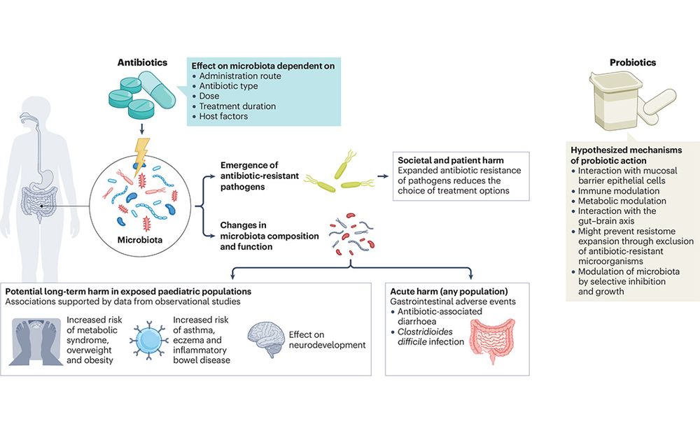 This is figure 1, which shows the effects of antibiotics on human health and the microbiome and hypothetical mechanisms of probiotics in ameliorating these effects. 