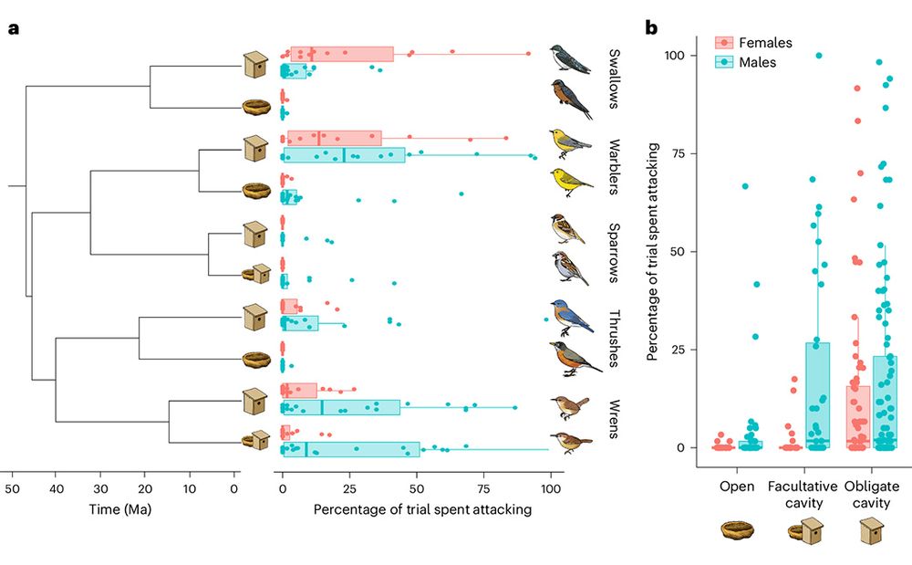 This is figure 1, which shows obligate cavity nesters displayed more overt territorial aggression. 