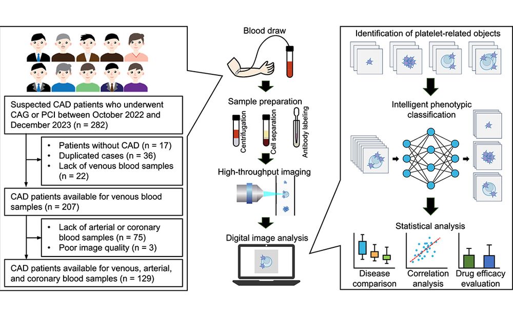 This is figure 1, which shows comprehensive image-based profiling of circulating platelets. 