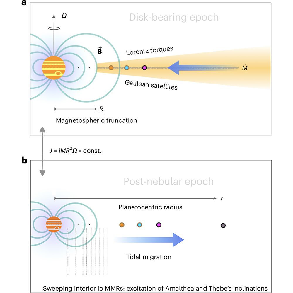 This is figure 1, which shows a schematic overview of the key processes at play in our model. 