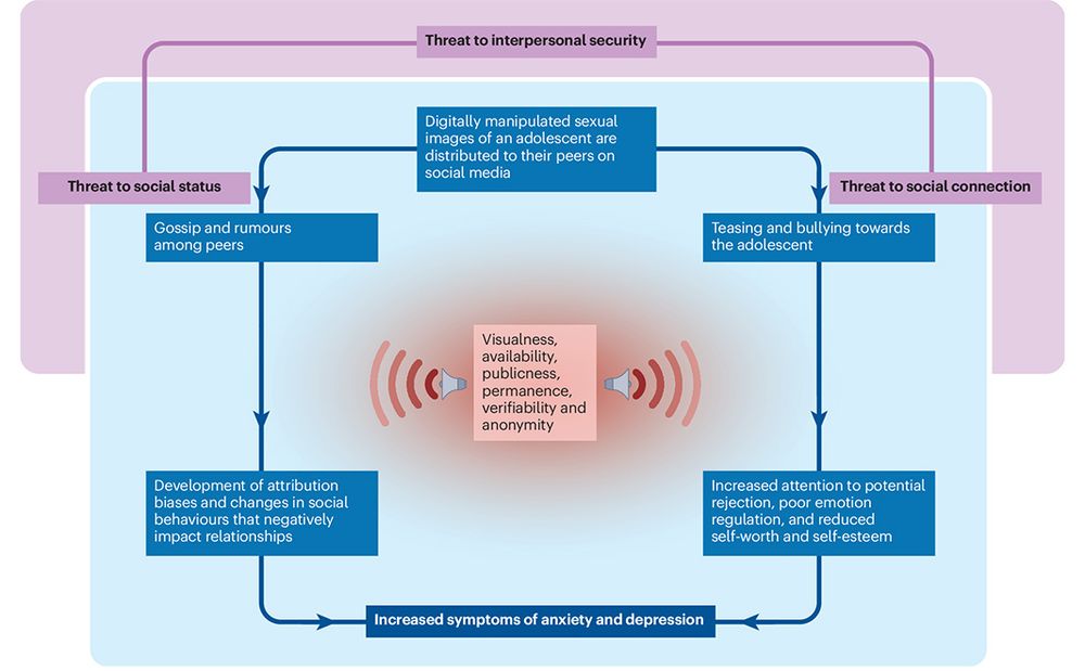 This is figure 2, which shows an example case of the interactions across social threat concepts and their contribution to anxiety and depression in youth. 