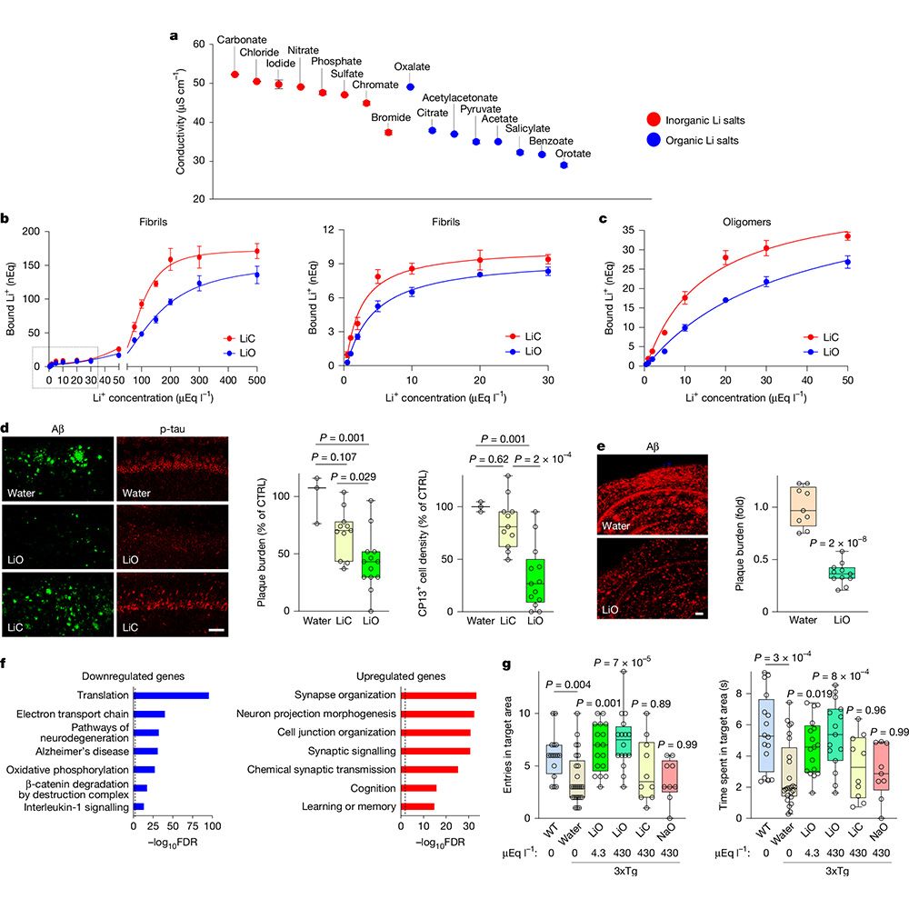 This is figure 5, which shows the therapeutic efficacy of a plaque-evading lithium salt. 
 