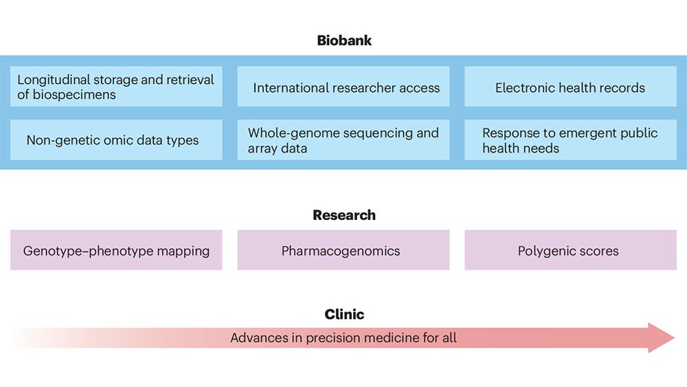 This is figure 2, which shows that biobanks support advances in precision medicine research. 