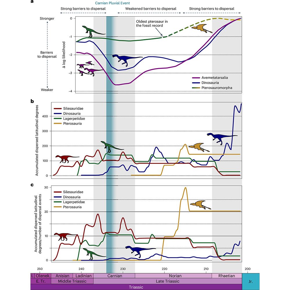 This is figure 2, which shows palaeobiogeograpic analyses of Middle–Late Triasssic pterosauromorphs. 