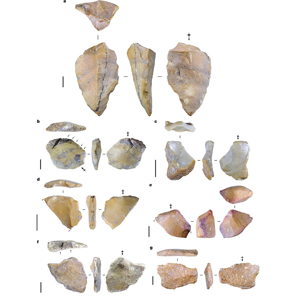 This is figure 2, which shows stone artefacts recovered from Early Pleistocene deposits at Calio. 