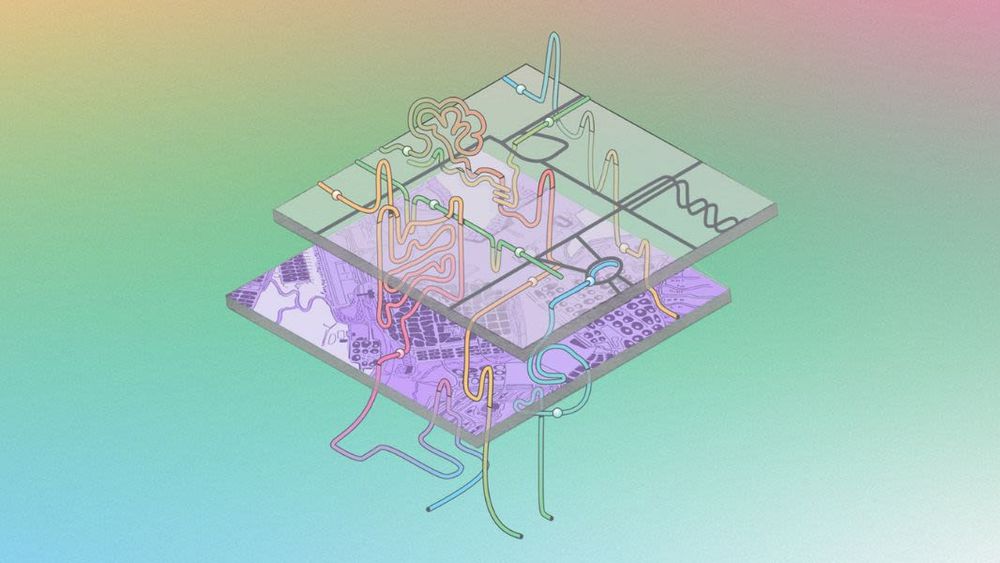 This is an illustration with slides and lines connecting them that is to represent the Human Cell Atlas