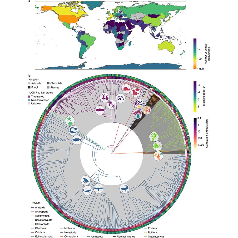 This is figure 1, which shows a summary of the systematic review dataset. 