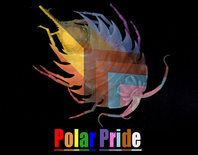 a polar pride (pride colours) isopod