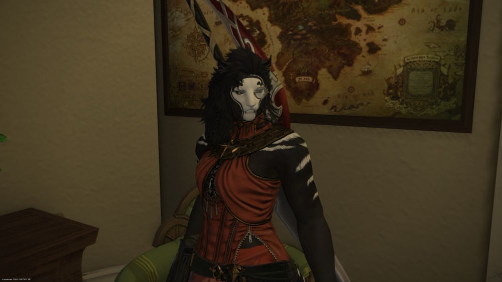 Zz Atanna, a black and white tuxedo hrothfemme with a white face because I couldn’t get just the chin, a level 64 dark knight, in a fetching red sleeveless dress.