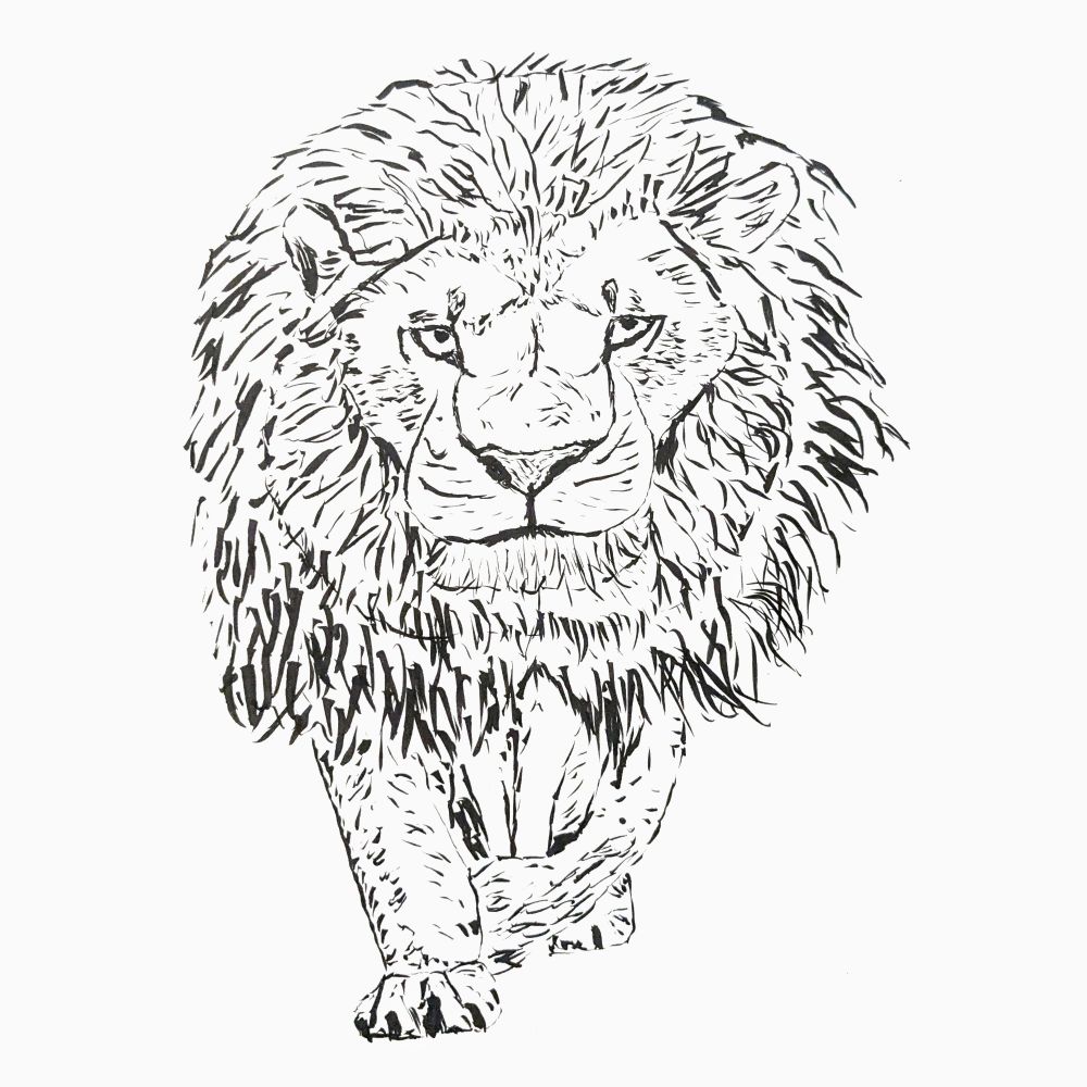 Black and white ink brush pen drawing of a lion.