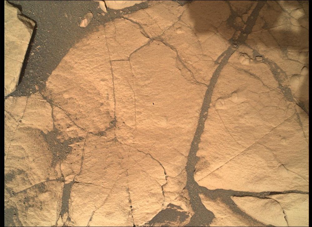 Image posted by astronomybot
