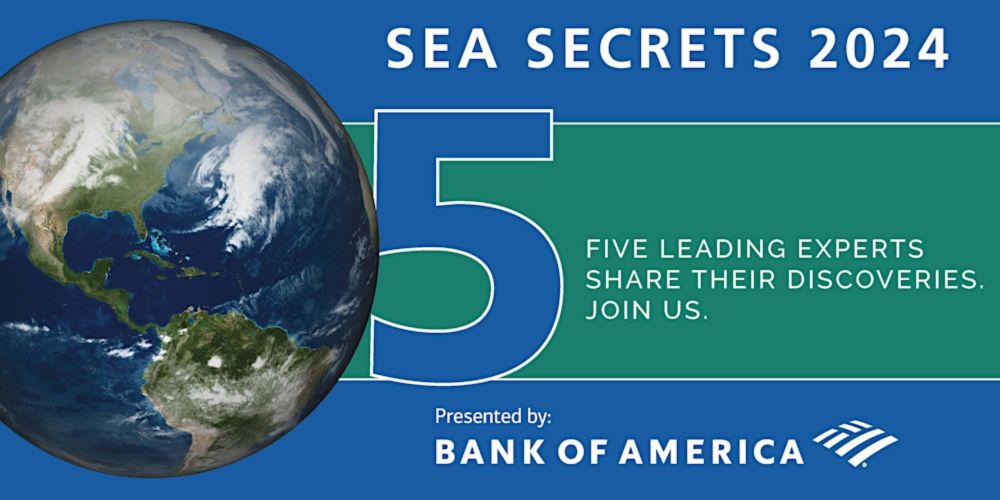 Sea Secrets Lecture Series 2024 with Rebecca Gruby, Ph.D.