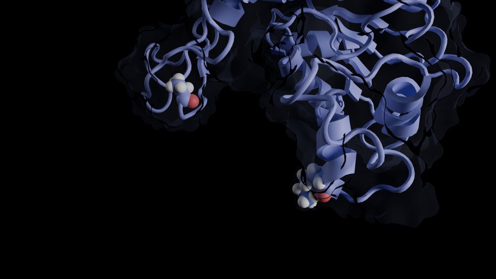 Visualization of part of a protein with MDAnalysis and Blender/MolecularNodes together with Python code to generate the image.