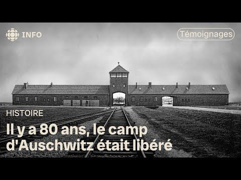 « Nous ne savions plus si nous étions vivants ou morts » : elle raconte l'enfer du camp d'Auschwitz