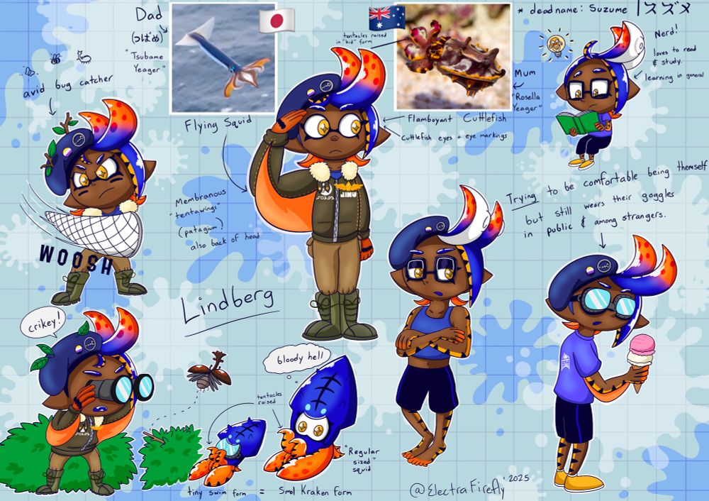 Lindberg Yeager (dead name: すずめ) is a flying squid/flamboyant cuttlefish hybrid. They have traits of both their parents present and are working to be more comfortable with their appearance. Their parents (イェーガー つばめ and Rosella Yeager) are flying squid and flamboyant cuttlefish respectively. Although they still cover their eyes around strangers and in public spaces to not draw unwarranted attention to themselves. If you’re one of the few to be exposed to their natural appearance, congrats! You’re among the few they trust. Lindberg is an avid bug hunter and loves to study and research bugs and birds. They frequently go on bug hunting trips with Annie Brooke. 
Their swim form is smaller than average and takes on most traits from Lind’s cuttlefish lineage (size included). Lind is very articulate, and wise for their age, but prefers to keep quiet and listen rather than speak up.