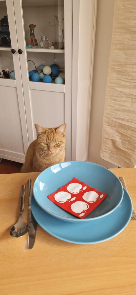 Rudi sitzt am mit blauen Tellern und rot-weißen Apfelservietten gedeckten Tisch und schaut erwartungsvoll