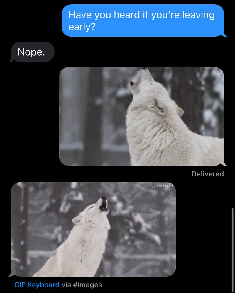 A text conversation. The user asks, "Have you heard if you're leaving early?" The reply says, "Nope." The user sends an image of a white wolf howling toward the left, and they receive a gif of another white wolf, howling in response toward the right. 