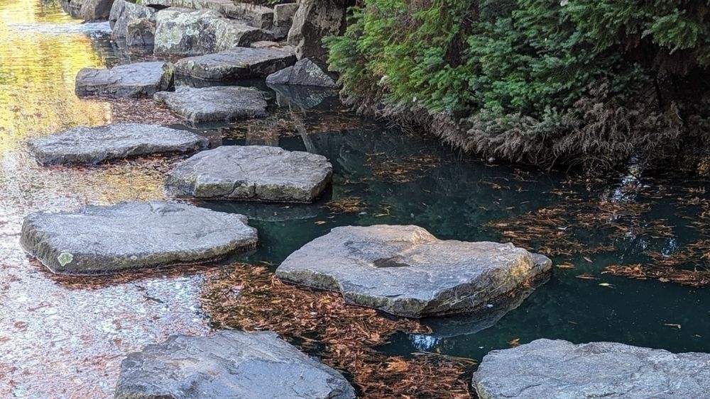 Large stepping stones cross over a calm pond surrounded by greenery and fallen leaves.