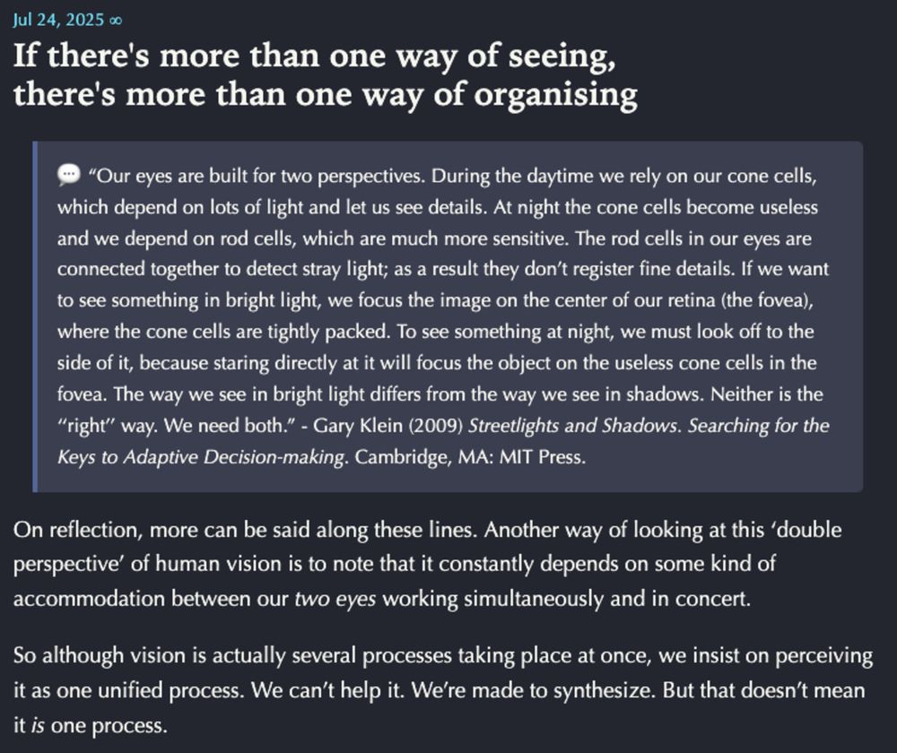 A post about different ways of seeing and organizing, emphasizing the need for multiple perspectives in understanding vision and incorporating insights for adaptive decision-making.