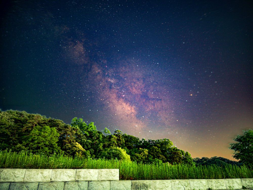 my favorite processed version