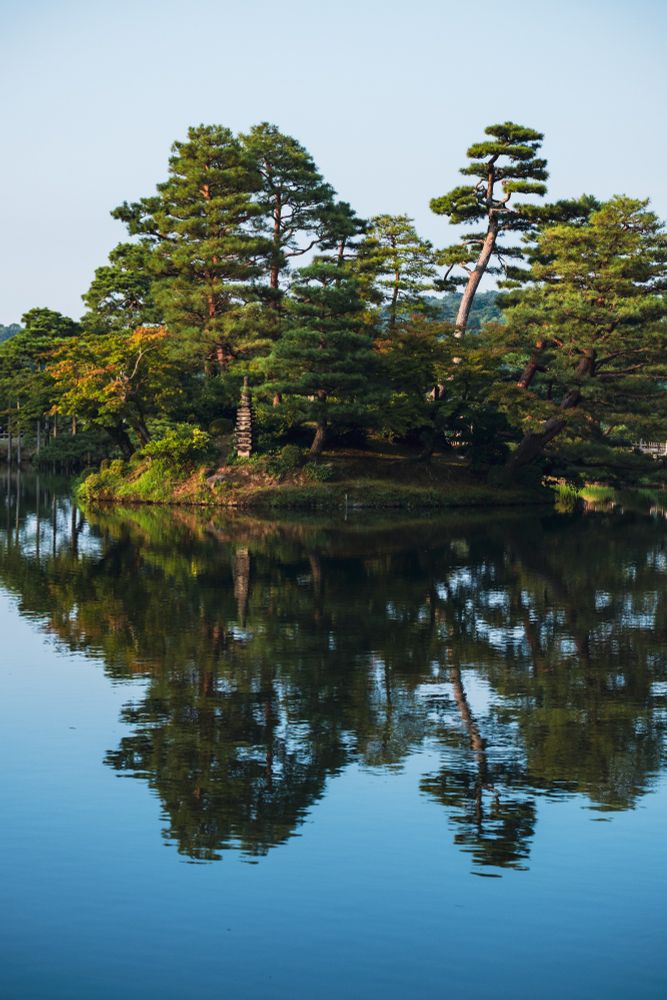 Trees reflected in water during sunset