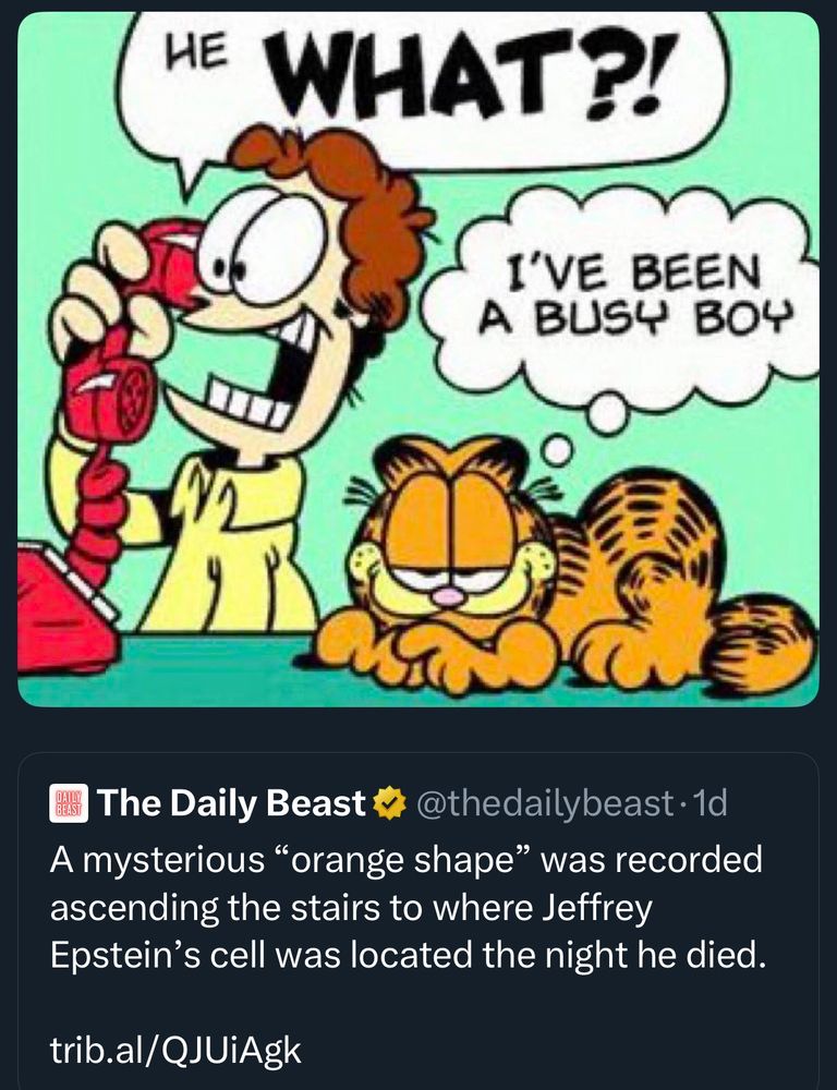 A Garfield comic implicating Garfield in the murder if Jefferey Epstein paired with a news headline suggesting an "orange shape" was recorded ascending the stairs to his cell. Since you are blind, Garfield is also orange. That detail makes this joke work.