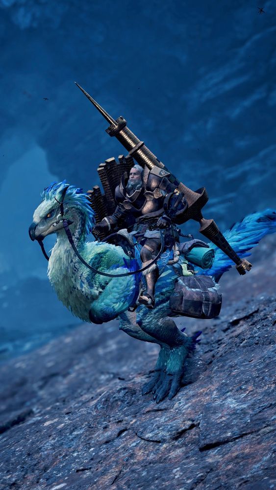 Screenshot taken with the in-game camera feature in the video game Monster Hunter Wilds in which Fabius is seen sitting atop a seikret, a bipedal bird-like mount, holding the reins in both hands. Fabius is seen in his ingot armor and large lance as he is depicted with as Ace Lancer. The blue and green seikret stands on a rocky incline, the background also rocky and blue-tinted.